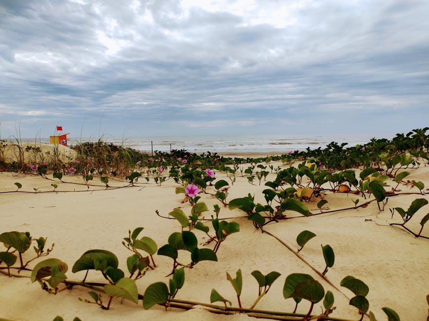 SUP Paddleboarding for Fitness: More Than a Beach Activity