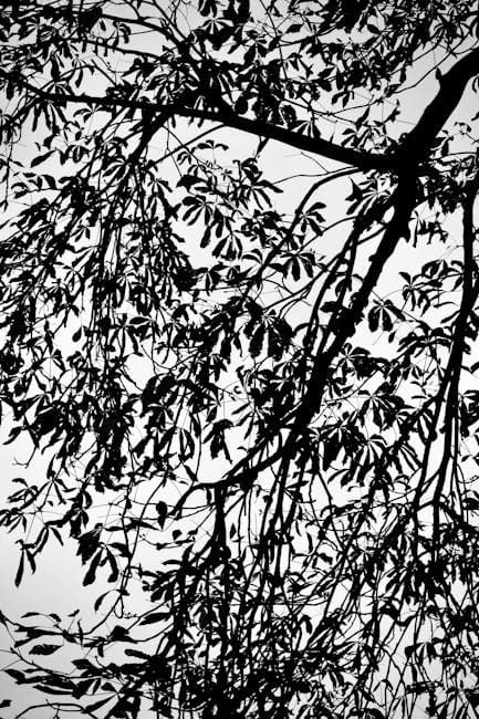 Scotland Winter Climbing: Gear and Conditions in 2026