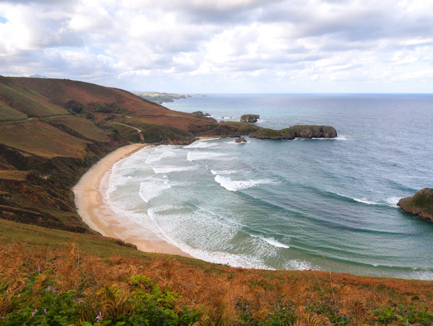 Longboard vs Shortboard: Progression Path for New Surfers
