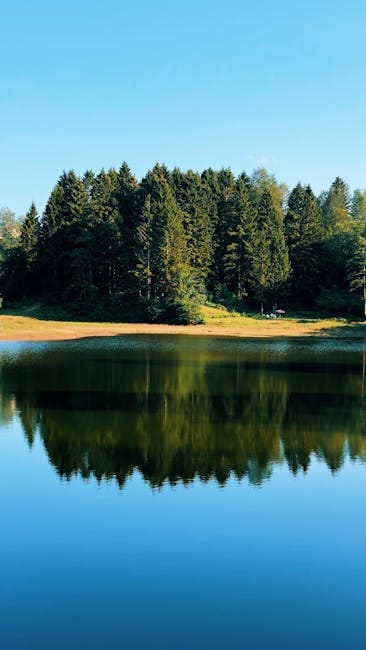 Crampon Types Explained: Strap-On, Semi-Step, Fully Automatic