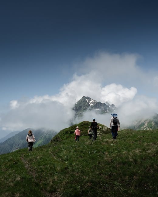 Downhill MTB Protection Gear: Neck Brace, Pads, Full Face Helmet