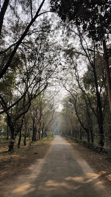 Colorado 14ers: Practical Guide to Technical Routes