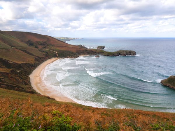 Longboard vs Shortboard: Progression Path for New Surfers