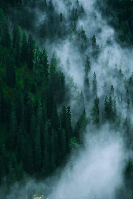 Ice Axe Selection: Technical vs Mountaineering vs Glacier