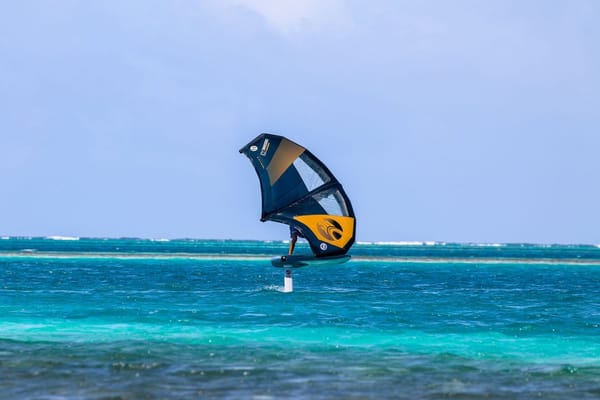 Wing Foiling in 2026: The Watersport That Finally Lets a Total Beginner Fly Without a Kite, a Wave, or a Surf Background